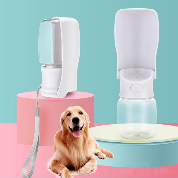 Foldable Water Dispenser for Pet